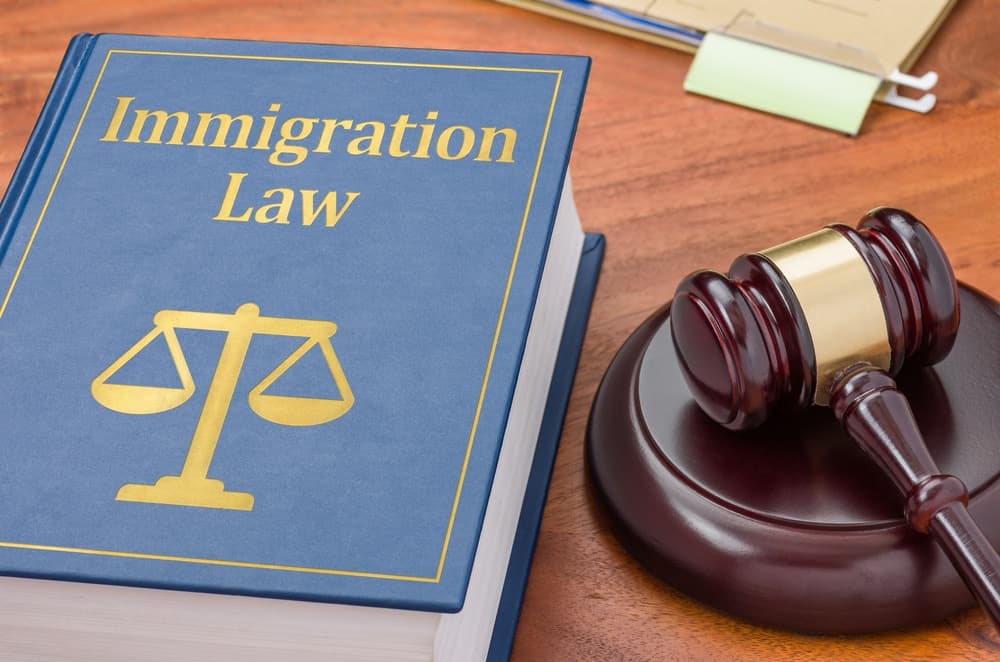 Immigration Appeals Process